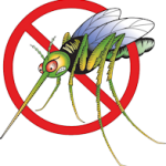 Mosquito Control at Lance Exterminating